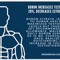 Портфолио henna  wilson